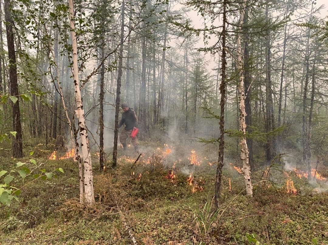 70 человек участвуют в тушении лесных пожаров рядом с селом Магарас в Якутии
