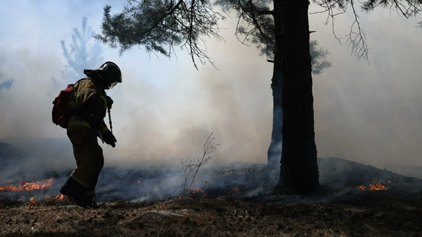 Руководитель Рослесхоза отметил активную работу по тушению лесных пожаров в Якутии