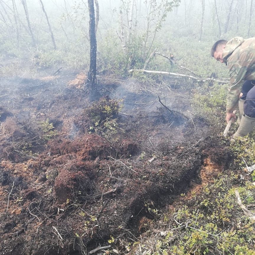 Лесной пожар действует в 1,5 км от Октябрьского наслега в Якутии