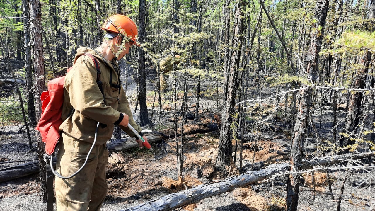 Студенческие отряды выедут на тушение природных пожаров в Якутии