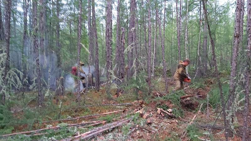 Около 20 лесных пожаров ликвидировали в Якутии за сутки
