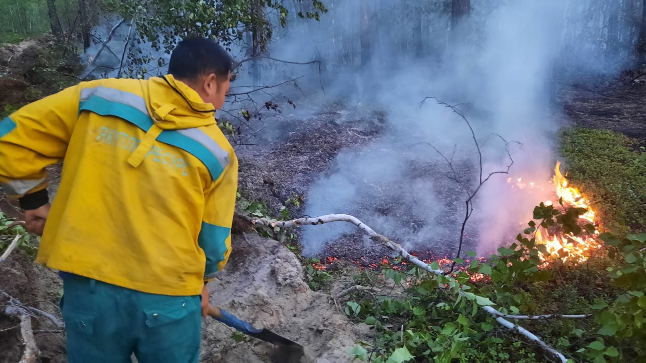 Работы по тушению природного пожара проводят близ Мегино-Алданского наслега в Якутии