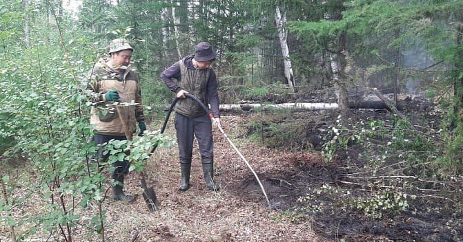 Три крупных лесных пожара потушили в Сунтарском районе Якутии за сутки