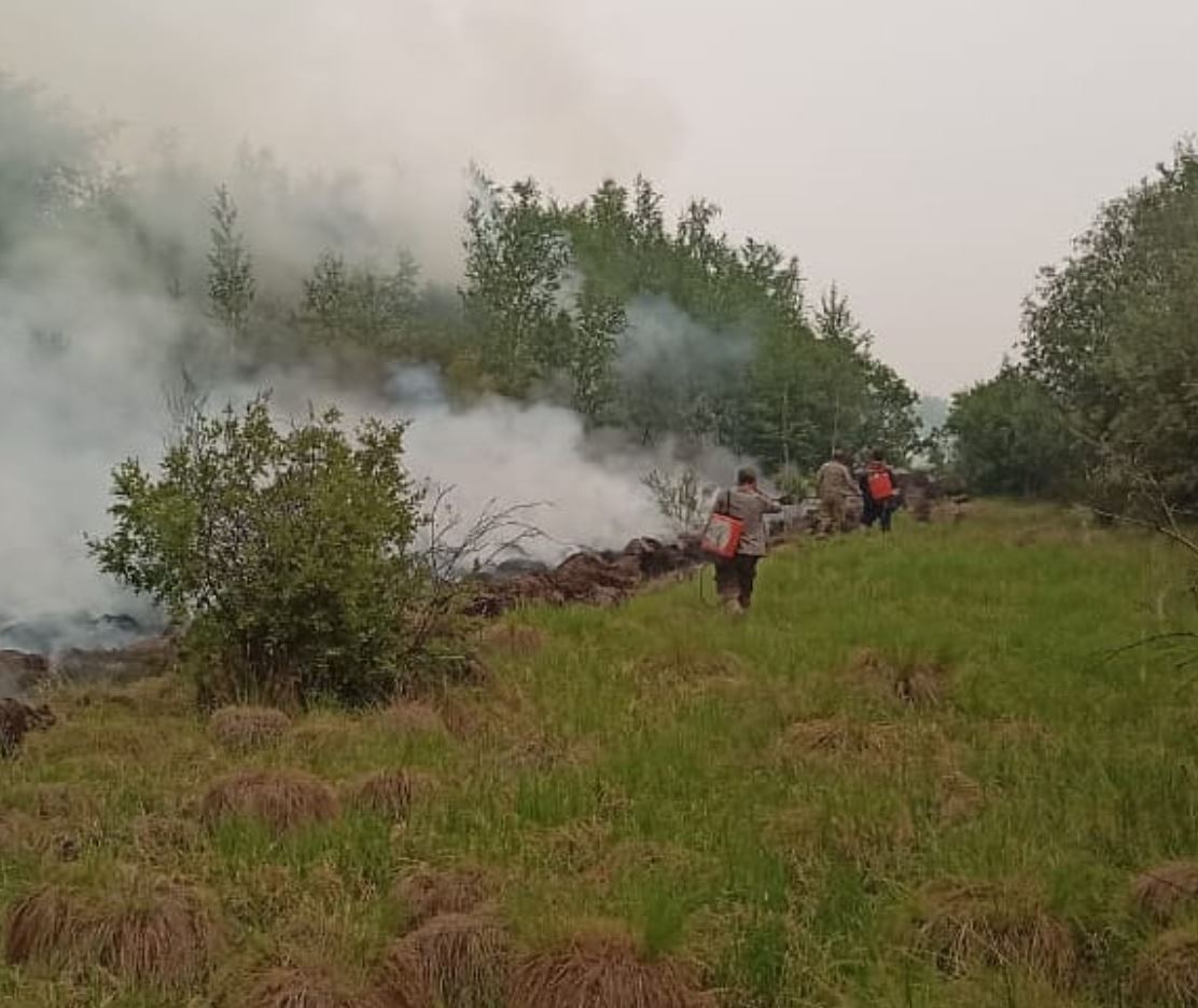 Пять лесных пожаров ликвидировали в Усть-Алданском районе Якутии