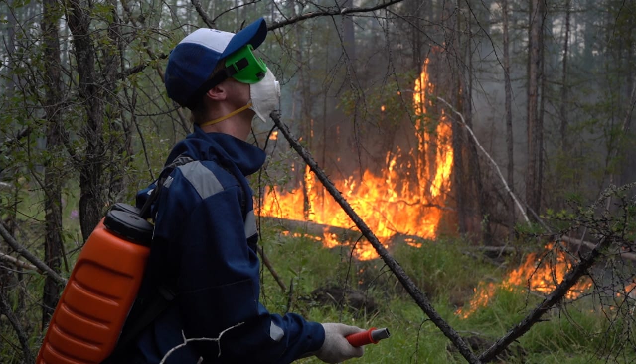 Добровольческий штаб рассказал о борьбе с лесными пожарами в Якутии
