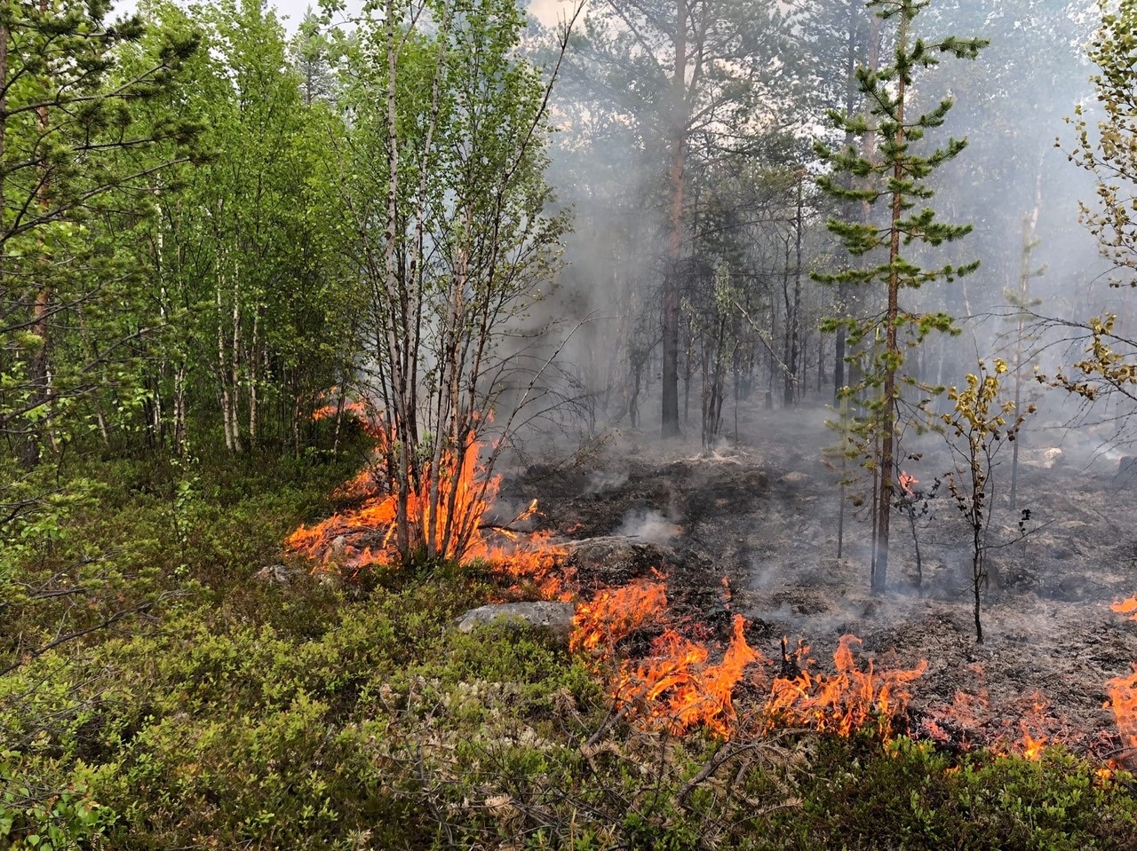 Пять лесных пожаров тушат в Верхневилюйском районе Якутии