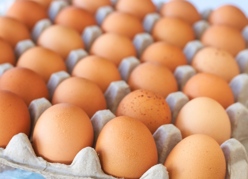 Партию куриных яиц с истекшим сроком годности выявили в детском доме в Якутии