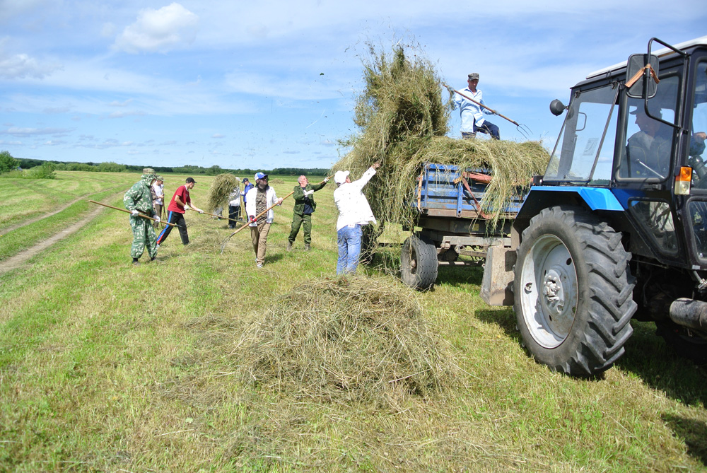Сельхозпредприятиям рекомендовали заготовить недостающий объем сена в пределах Якутии