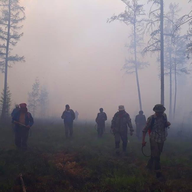Лесной пожар не угрожает селу Ерт Горного района Якутии