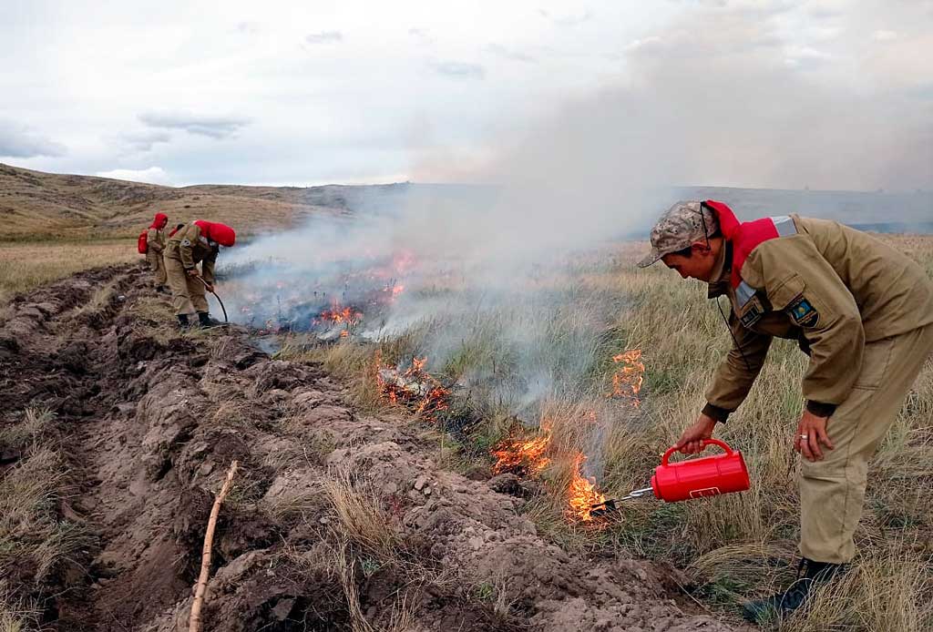 Лесной пожар останавливают у села Сюльдюкар в Якутии