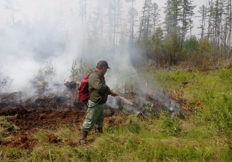 Более 40 лесных пожаров ликвидировали в Якутии за сутки
