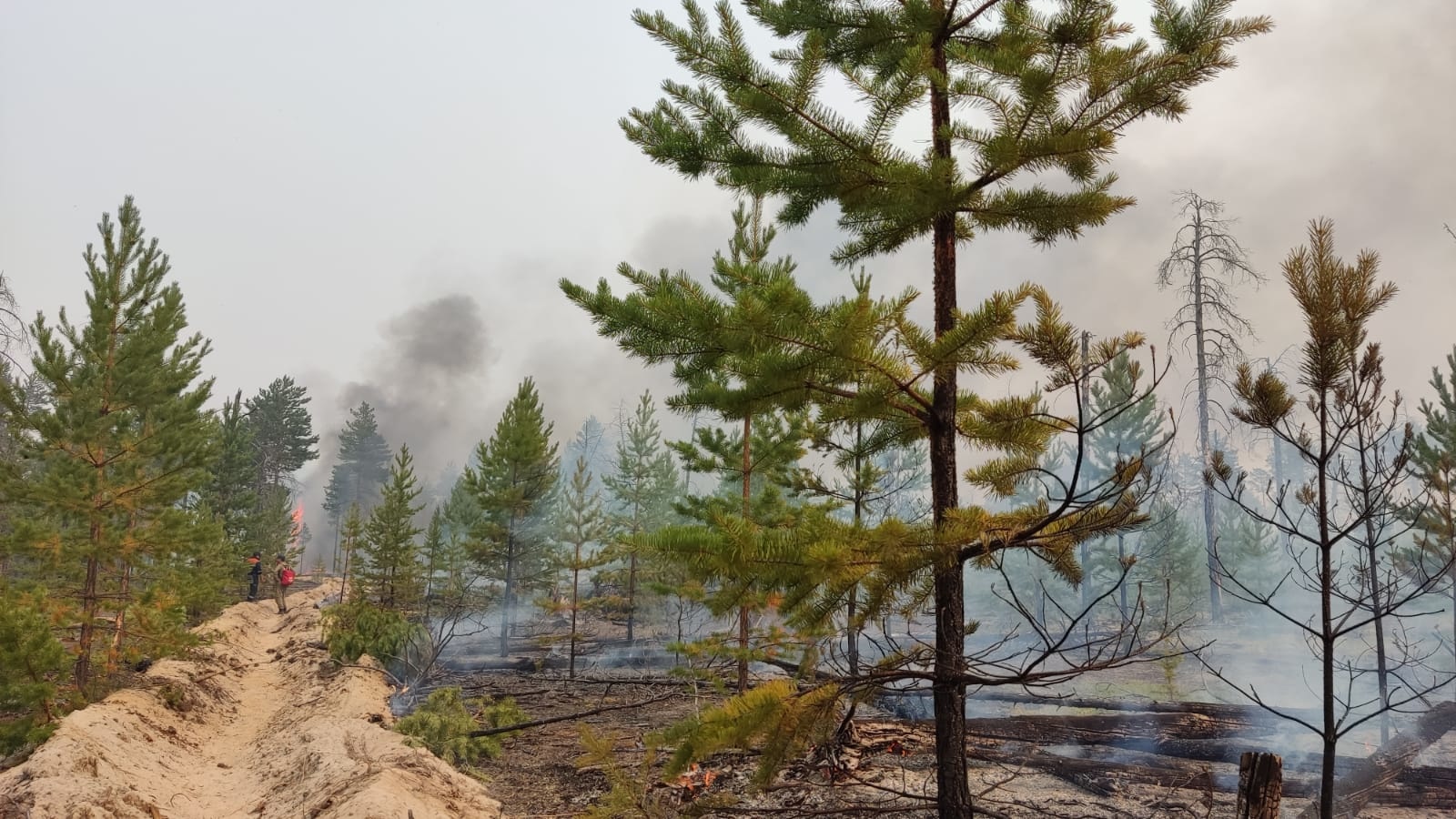 Автоколонну направят на тушение лесных пожаров в Горном районе Якутии
