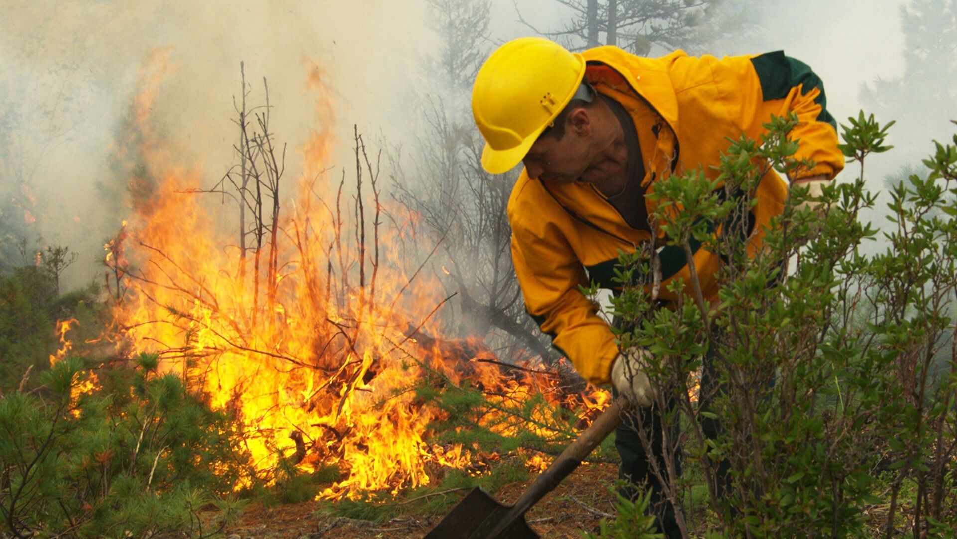 19 лесных пожаров ликвидировали в Якутии за сутки