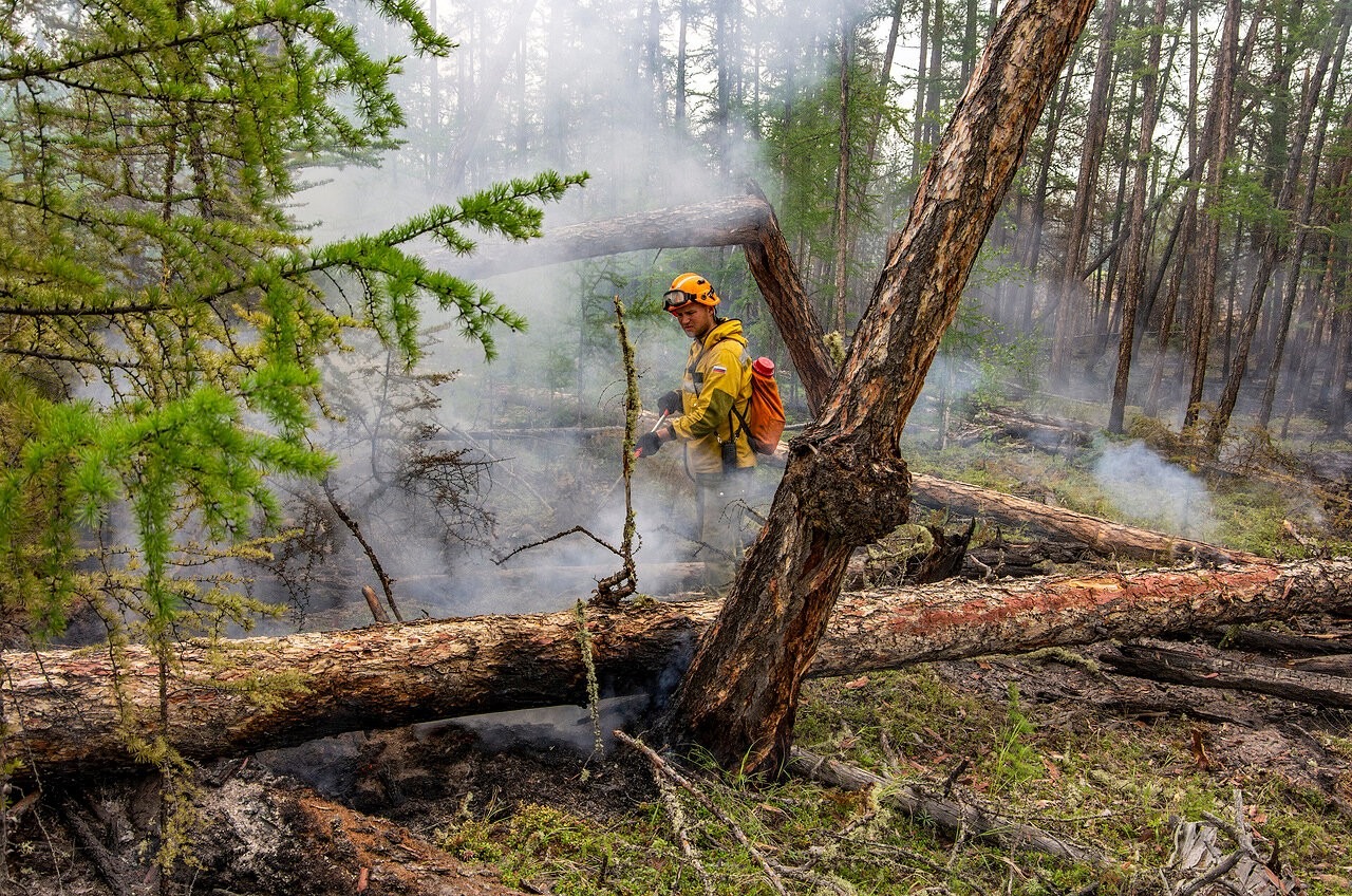 Лесной пожар действует в 60 километрах от Якутска