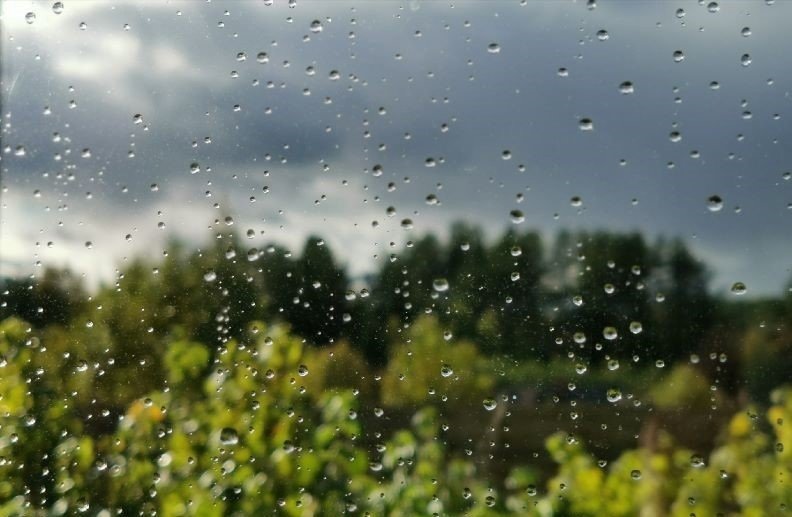 Небольшие дожди ожидаются в Горном и Кобяйском районах Якутии 8 августа
