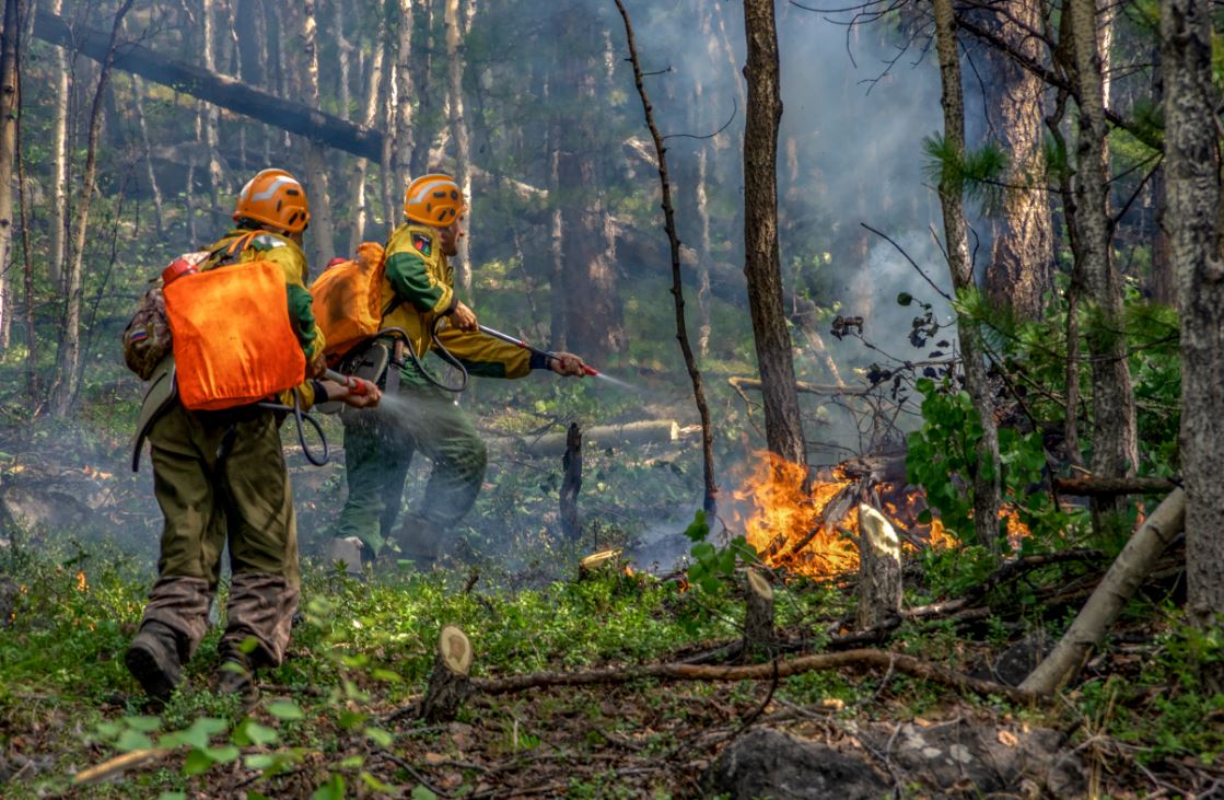 Пожарных из других регионов дополнительно направят на борьбу с огнем в Якутии