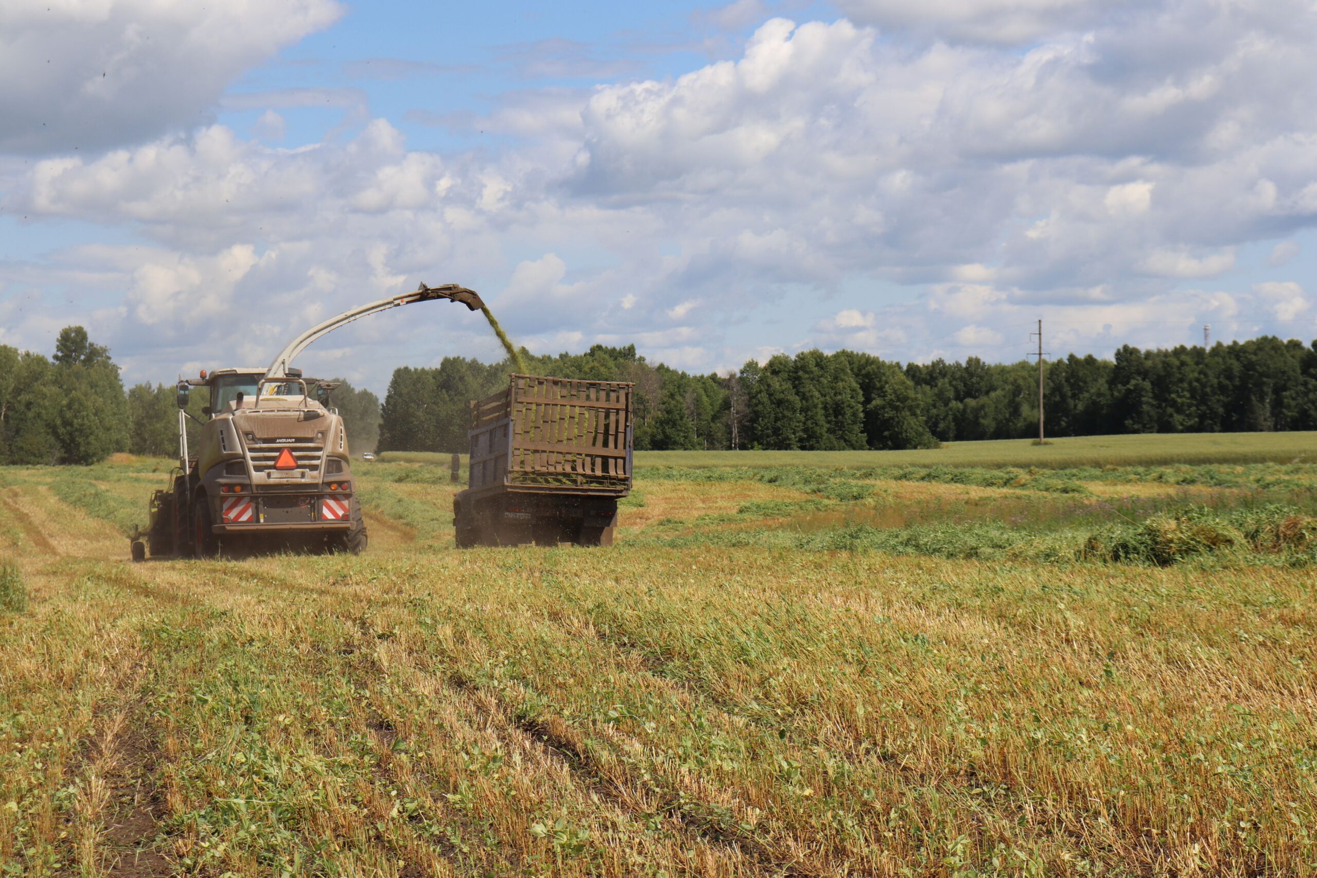 Свыше 240 тысяч тонн сена заготовили в Якутии