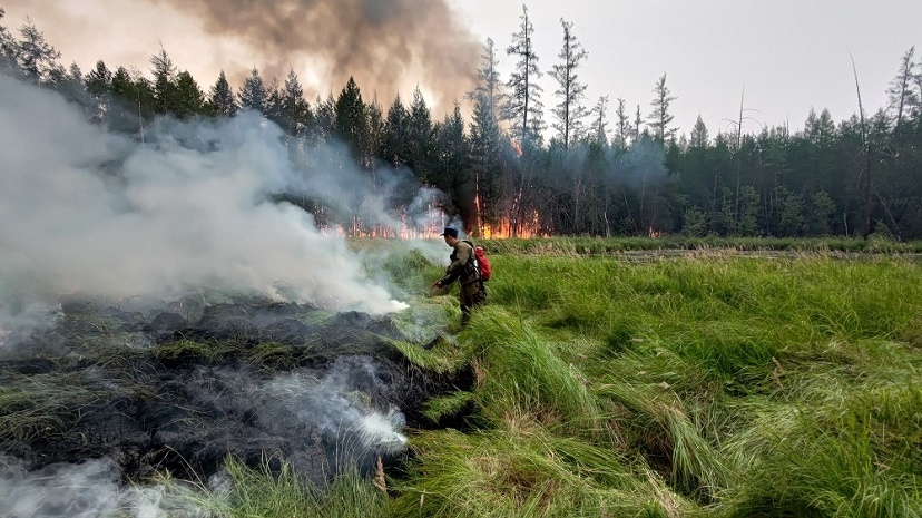 Минобороны РФ направило инженерную роту на тушение лесных пожаров в Якутии