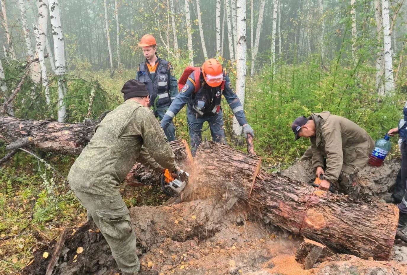 22 лесных пожара ликвидировали в Якутии за сутки