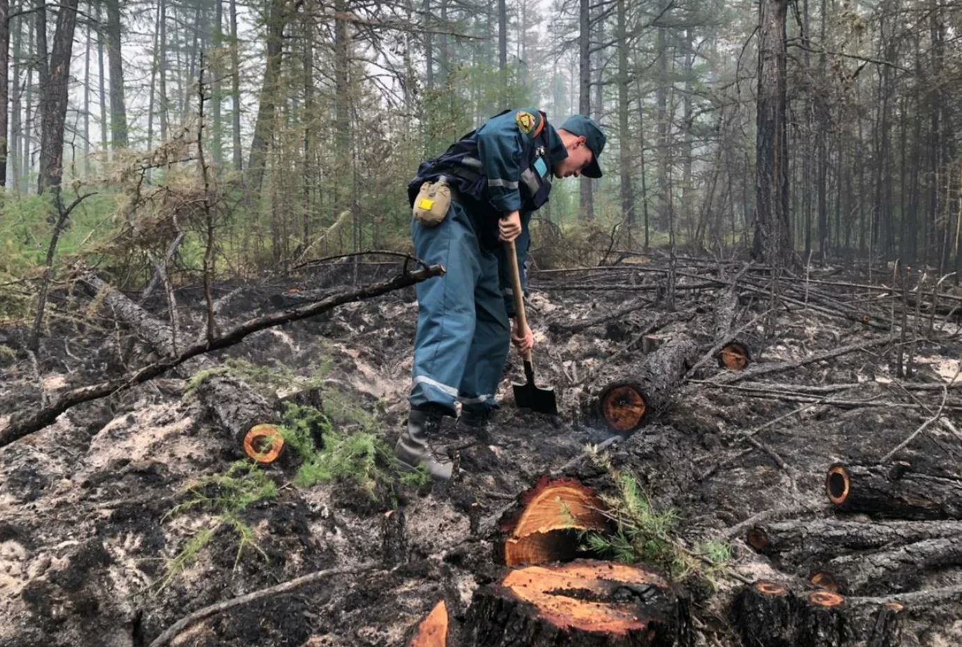 22 лесных пожара ликвидировали за сутки в Якутии