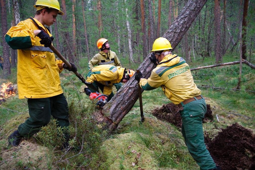 Борт с 52 работниками Авиалесоохраны прилетит на тушение лесных пожаров в Якутии