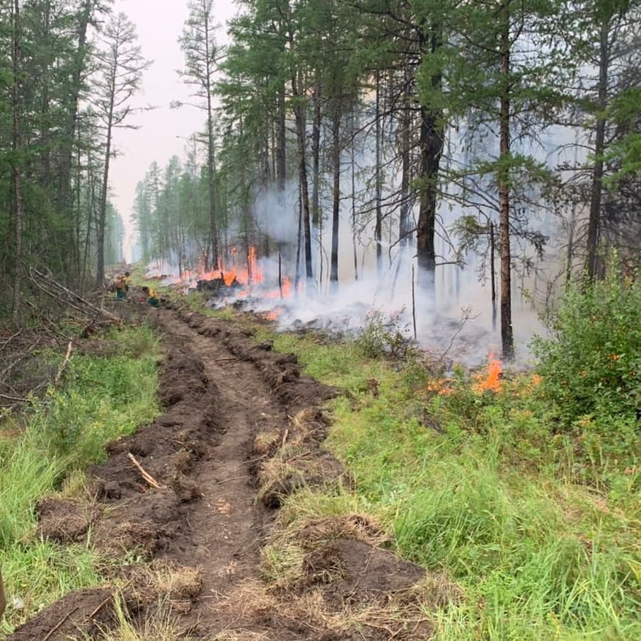 Более 400 человек тушат лесные пожары в Хангаласском районе Якутии