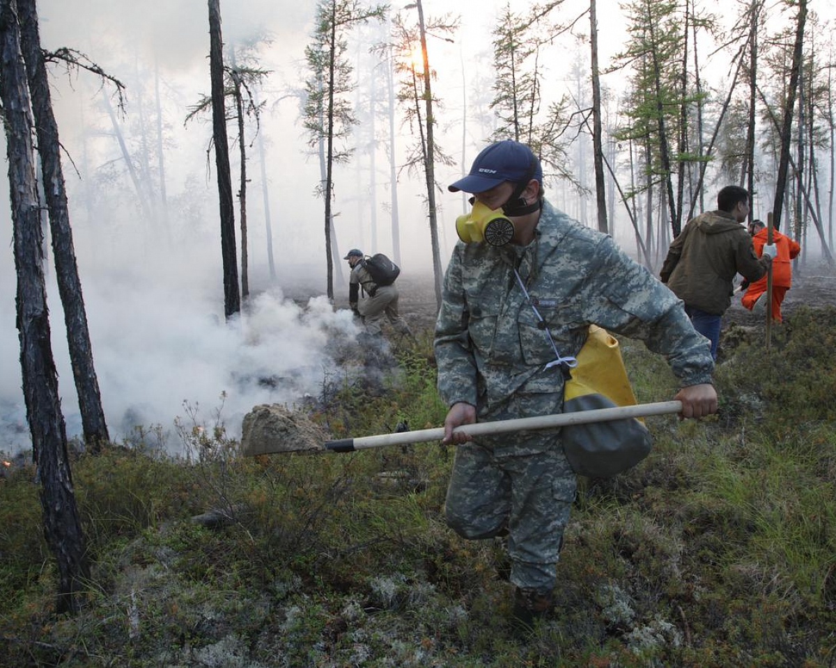 Четыре лесных пожара потушили в Якутии за день