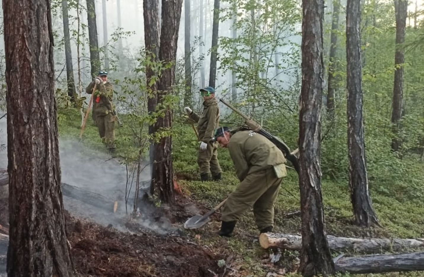 19 лесных пожаров действуют в Якутии