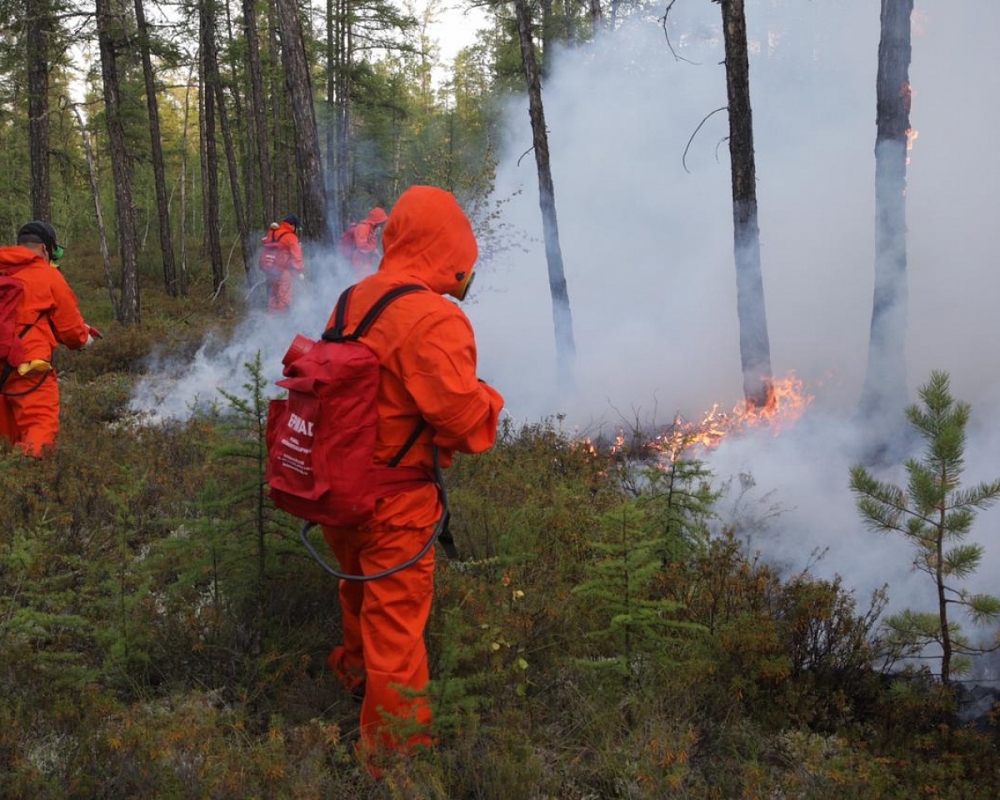Лесной пожар локализовали у границы Якутска с Намским районом