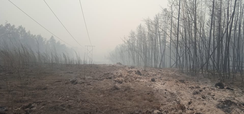 Пострадавшие от пожаров опоры ЛЭП восстанавливают на линии «Майя — Чурапча» в Якутии