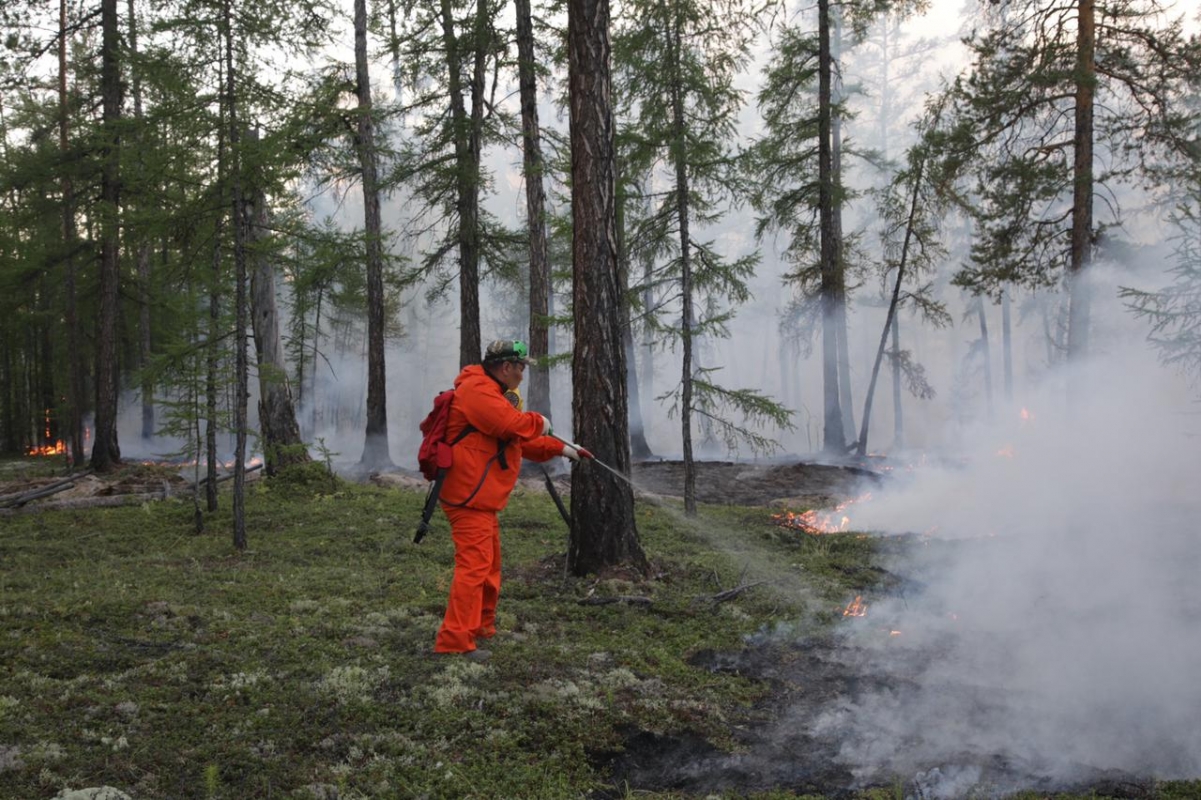 Встречный пал пустят против лесного пожара близ Магана
