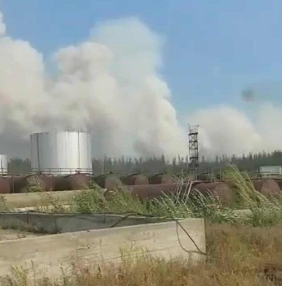 Лесной пожар действует в 4 км от поселка Сангар в Якутии