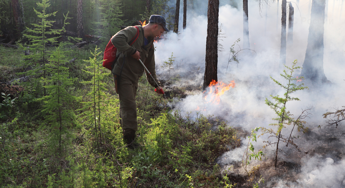 Запрошенные 150 млн рублей на борьбу с лесными пожарами поступили в Якутию