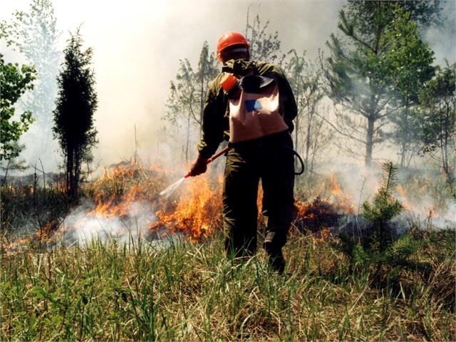 Группировку сил по тушению лесов наращивают в Усть-Майском районе Якутии