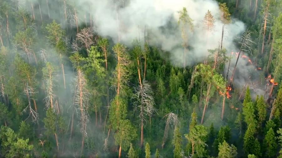 Программу защиты лесов от пожаров с учетом изменения климата разработают в Якутии
