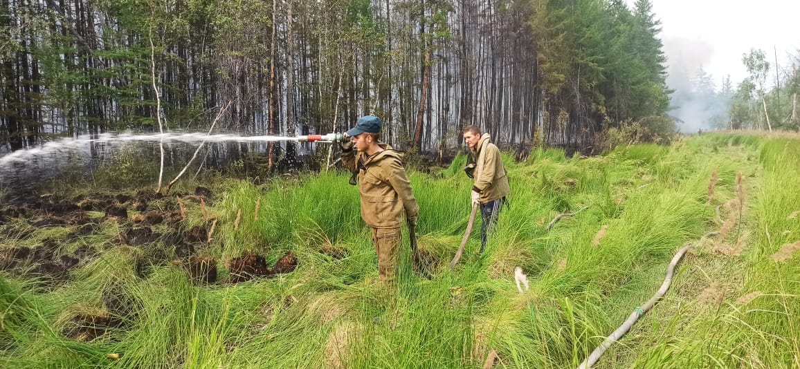 Шесть лесных пожаров ликвидировали в Якутии за сутки