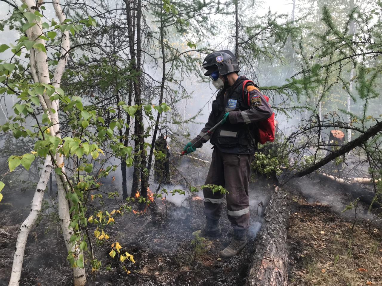 Авиация МЧС слила за сутки 230 тонн воды на тушении лесных пожаров в Якутии