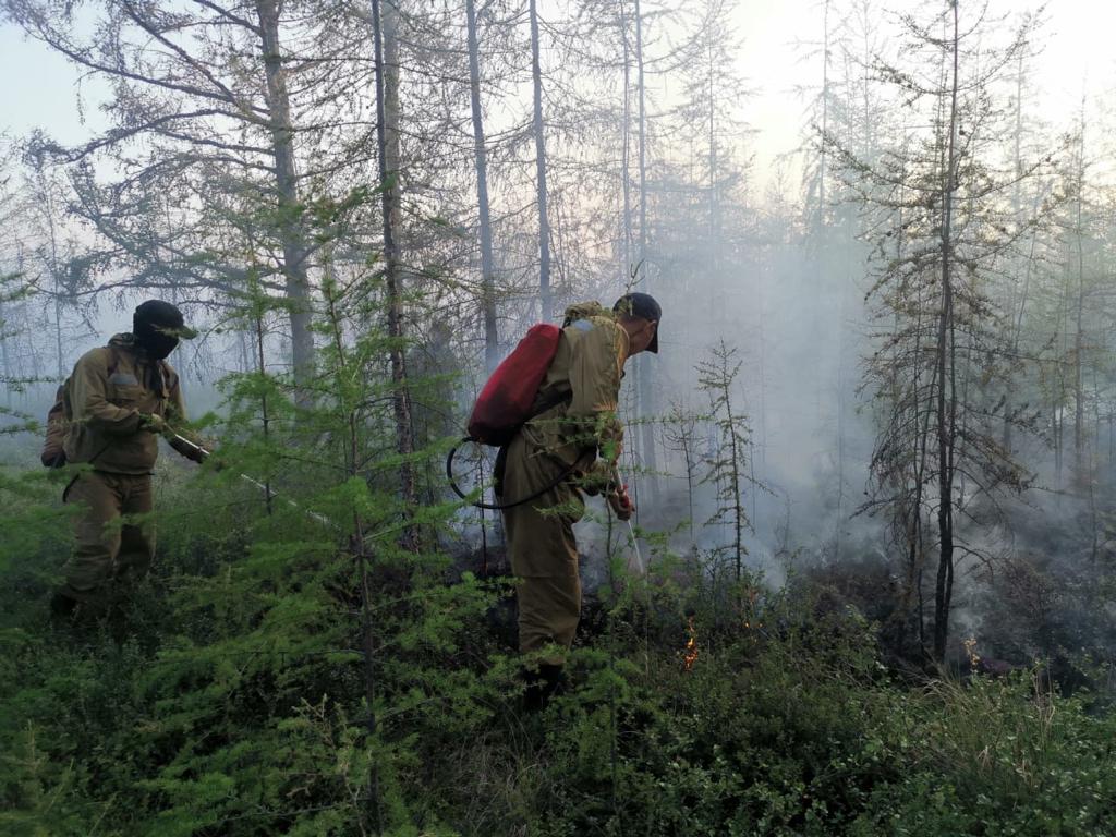 Лесные пожары на площади более 55 тыс гектар потушили в Якутии за сутки
