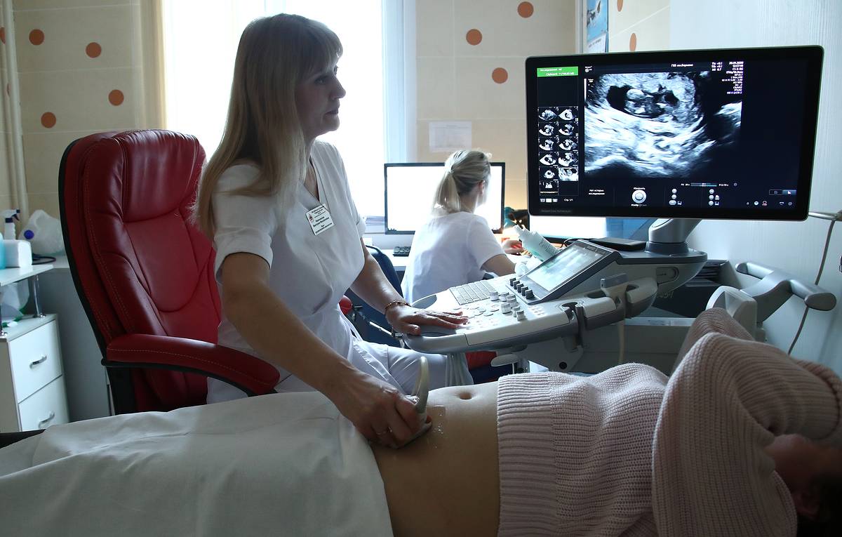 Пособия по беременности в России станут начислять автоматически с 2022 года