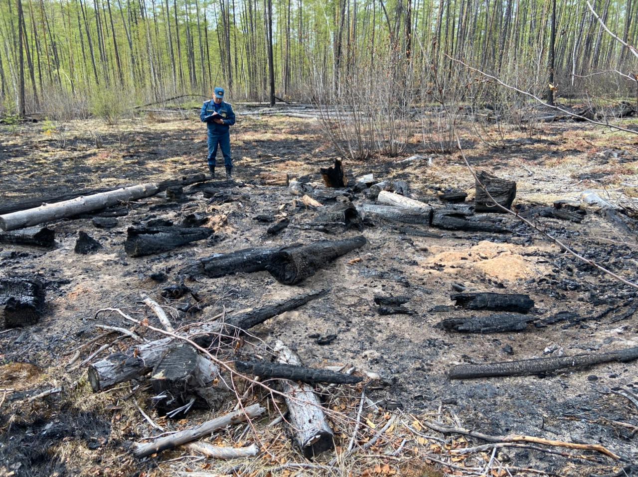 Шесть лесных пожаров потушили в Якутии за сутки