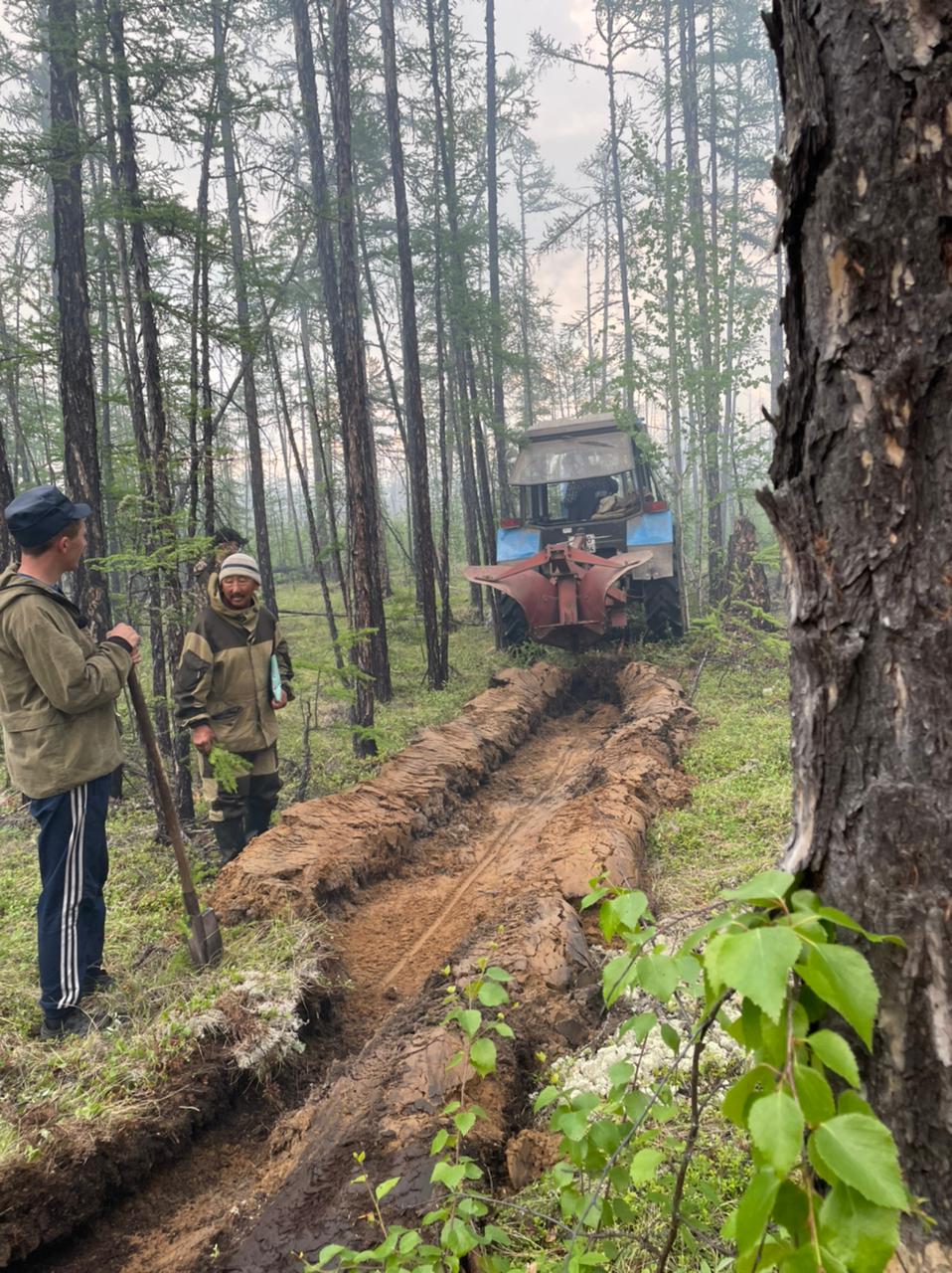 Девять лесных пожаров ликвидировали в Якутии за сутки