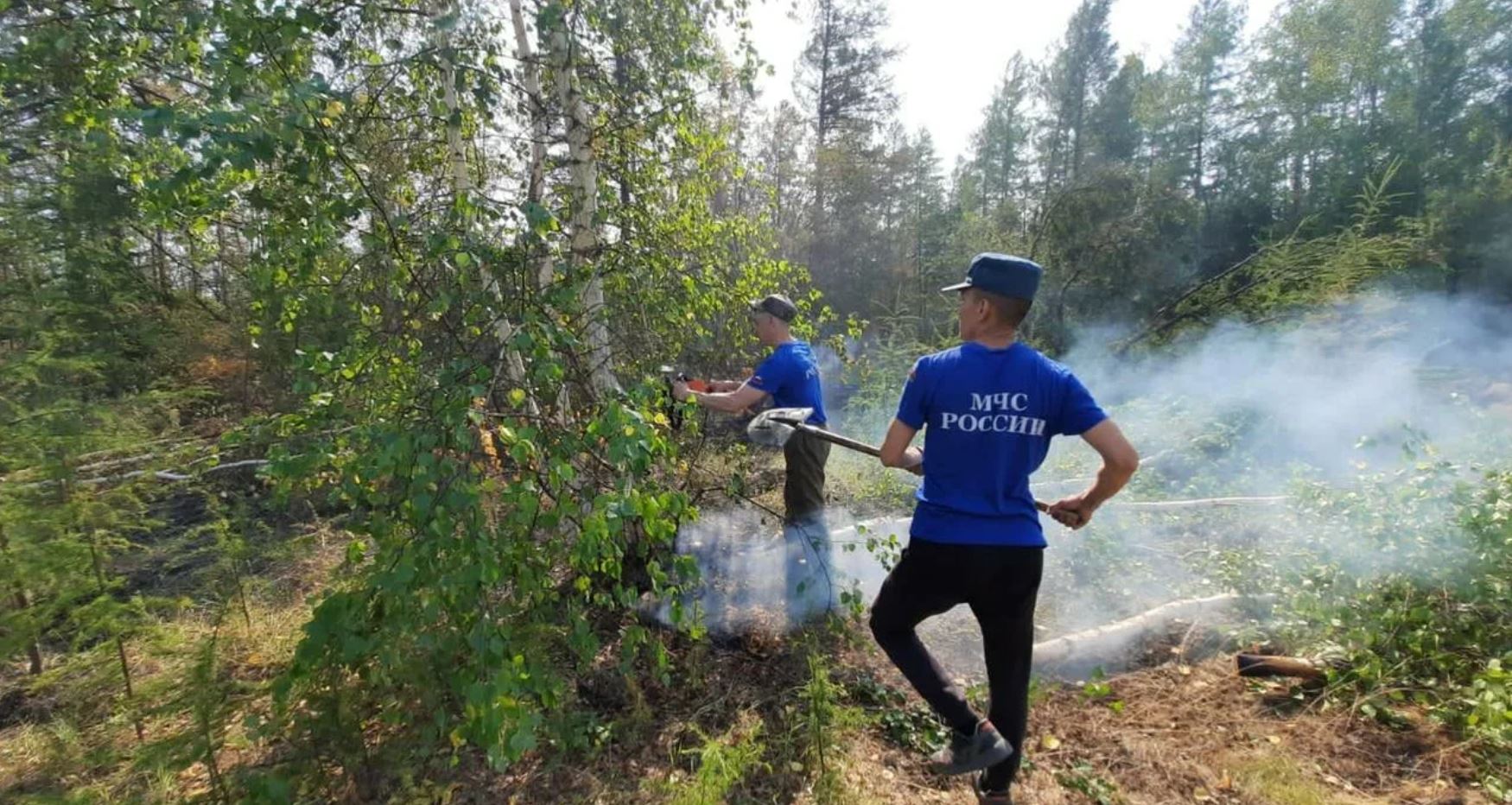 Пять лесных пожаров потушили в Якутии за сутки