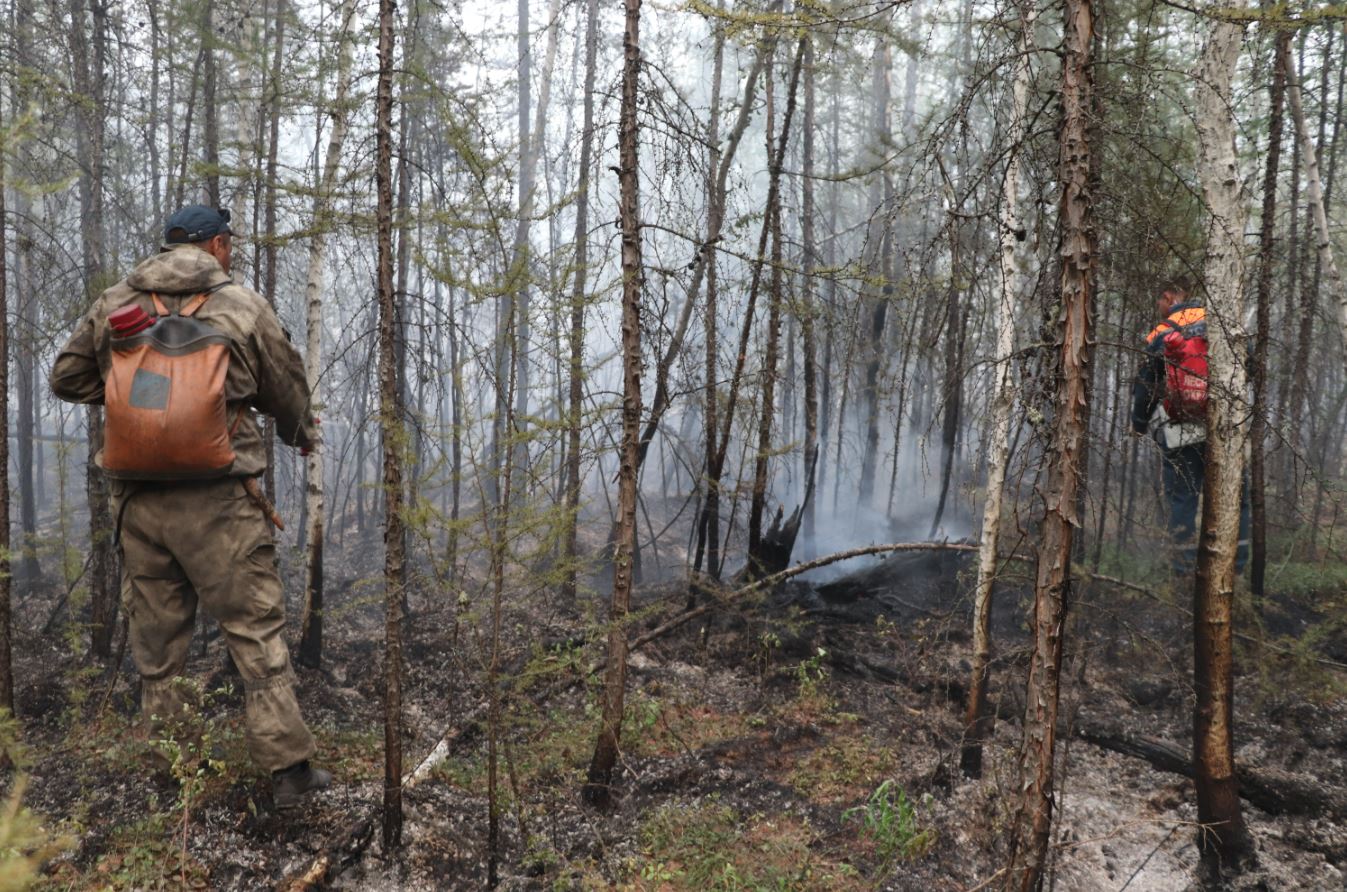 Лесные пожары на площади более 117 тысяч га потушили в Якутии