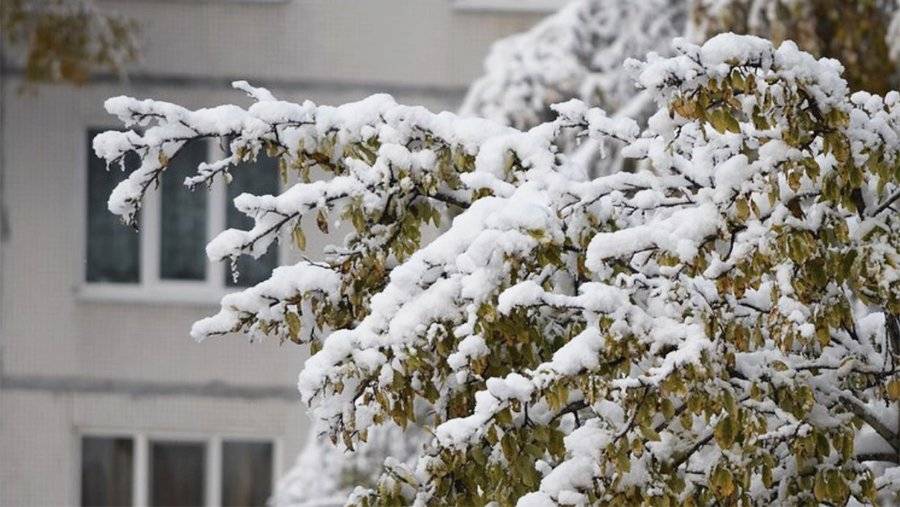 Снегопад прогнозируют в ряде районов Якутии 26 и 27 сентября