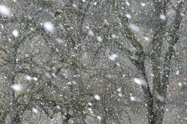 Ветер и мокрый снег ожидаются в арктических районах Якутии