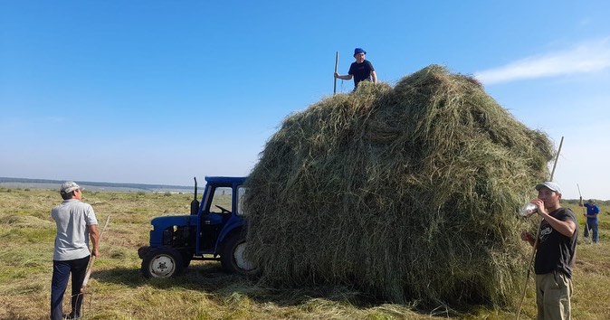 Более 30 тысяч тонн сена заготовили в Амгинском районе Якутии
