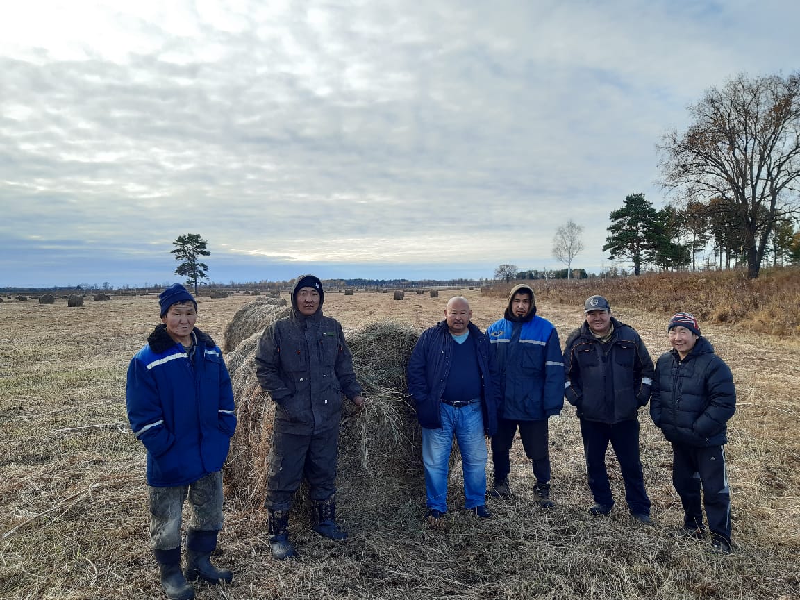 Бригада из Чурапчинского района Якутии заготовила 800 тонн сена в Амурской области