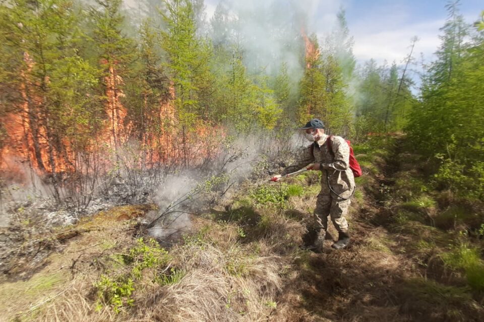 Путин наградил пятерых якутян за помощь при тушении лесных пожаров
