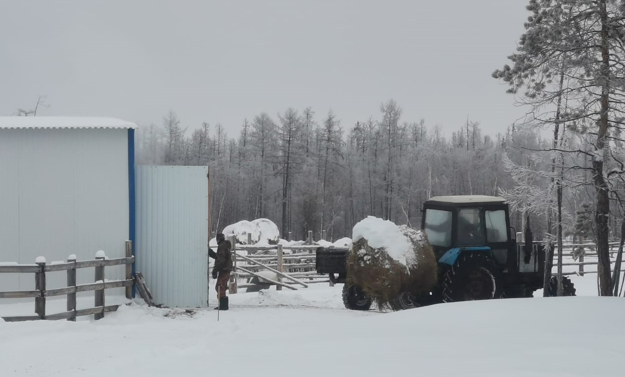 Елена Тутукарова: Скотокомплексы в Якутии необходимо строить по инвестпрограмме