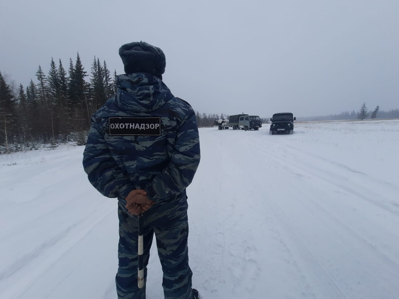 Дело о незаконной добыче оленей сотрудниками правоохранительных органов в Якутии передали в полицию и СК